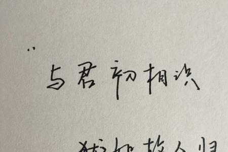 犹似故人归的意思