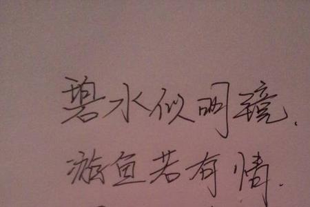 初来乍到下句是什么