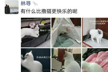 喜欢发朋友圈记录生活的人