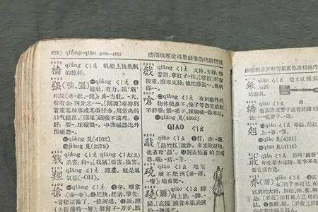 腾在新华字典12版中的页码