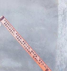 绿琪千岁树杖什么意思