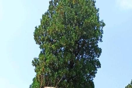 泰安梁父山好玩吗