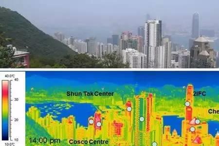 什么是环岛效应