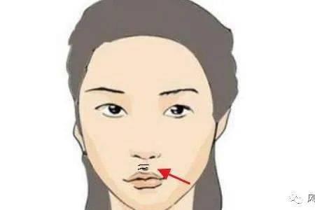 人中宽窄标准