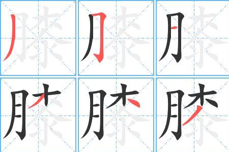 顽强的笔顺