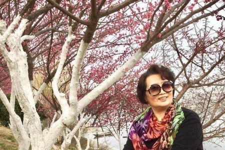 感情如花深情如山原唱