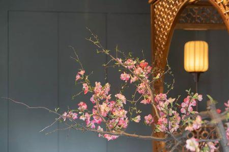 良辰美景奈何天是什么歌