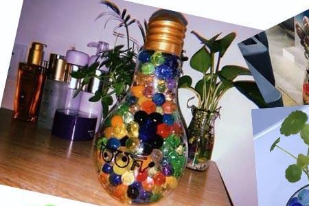 水宝宝可以养哪些植物