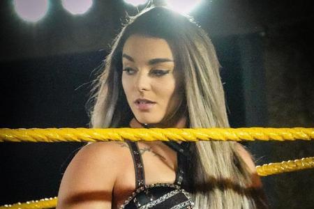 wwe格兰梅塔里克资料