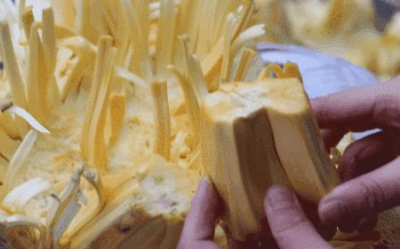 开菠萝蜜的神招