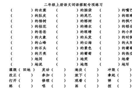 一棵棵什么的什么填空