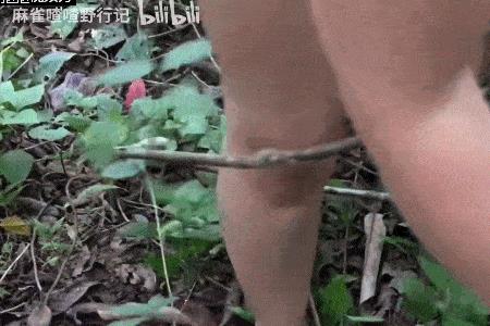 麻雀姐荒野求生结局