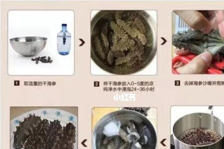 巴西野海参是怎样泡发