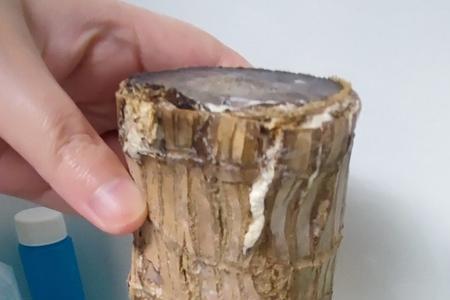 巴西木有宽叶和窄叶的吗