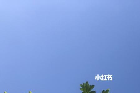 天蓝的近义词