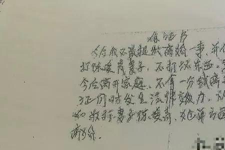 写给丈母娘的十条保证书怎么写