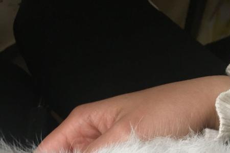 猫生崽公母比例