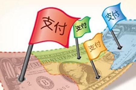 移动支付项目是什么