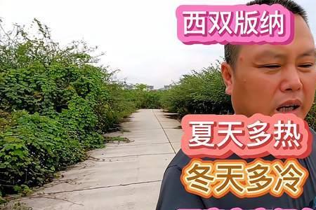 夏天太热冬天就应该有多冷