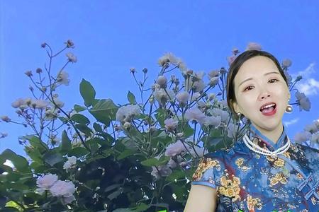 越听越心痛原唱完整版
