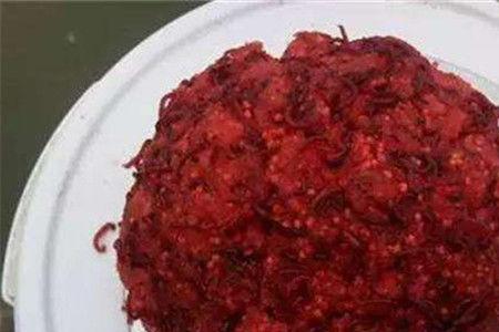 鲤鱼拉饵加红虫破丝怎么办