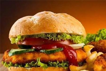 hamburger是什么品牌
