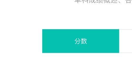 初中期中成绩智学网能查到吗