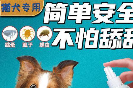 猫身上虱子什么样