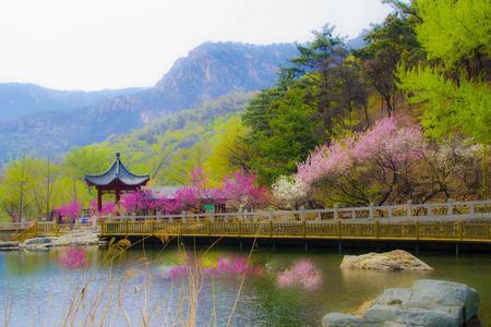 泰山桃花源能夜爬吗
