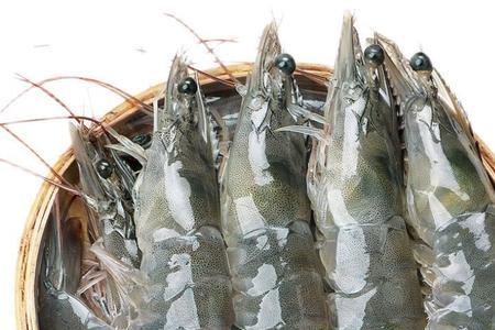 活海虾与冰鲜海虾营养价值区别
