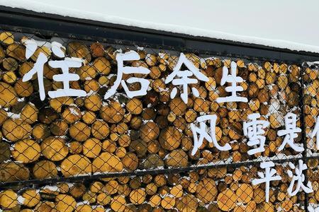 一起到白头数字谐音