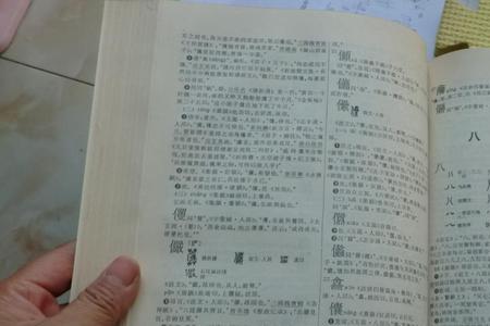 宜在字典里的第几页