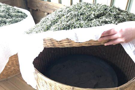 白茶晾干好还是焙干好