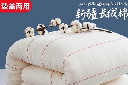 棉花和棉籽哪个更适合做褥子