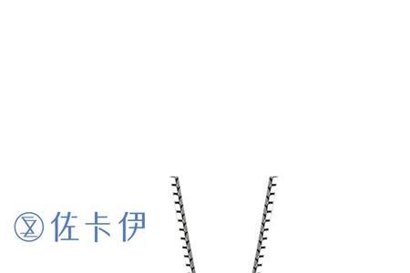 佐卡伊是几线品牌
