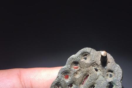 辽金龙特征