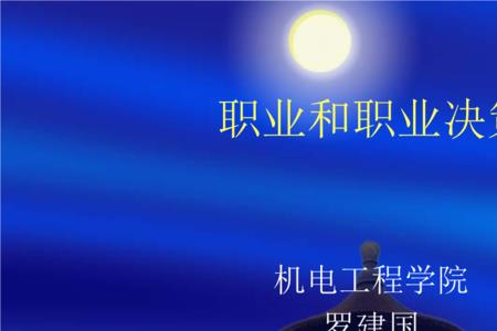 职业决策结果是什么