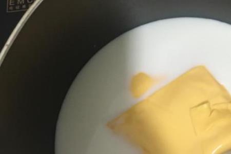 做奶酪芝士片不好融化