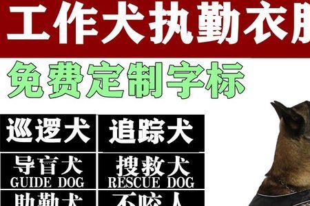 史宾格牌子的衣服