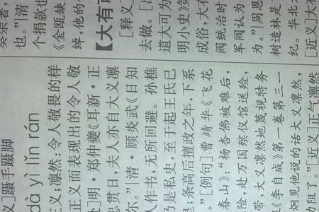 胸怀大义的意思
