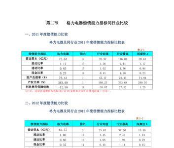 个人偿债能力分析