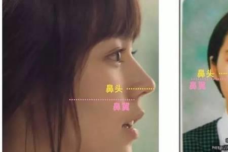 鼻子长好看还是鼻子短好看