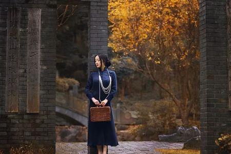 漂泊的游子是什么