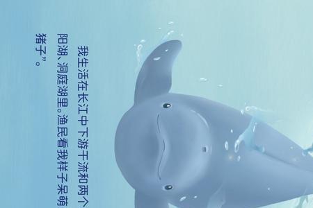 长江三大宝