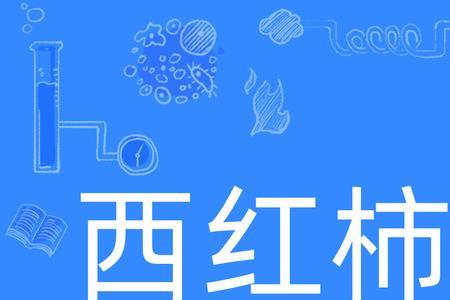 电影西红柿里的女演员