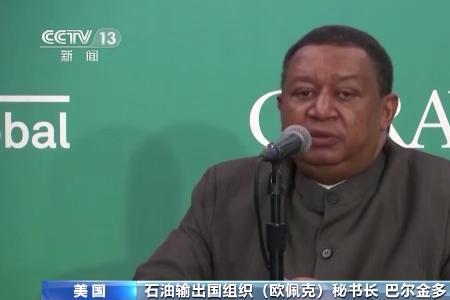 什么叫欧佩克