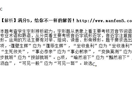 坐壁观战是成语吗