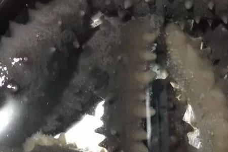 海参发好后还是很硬怎么办