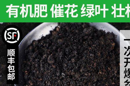 菜籽饼和芝麻饼钓鱼哪个好