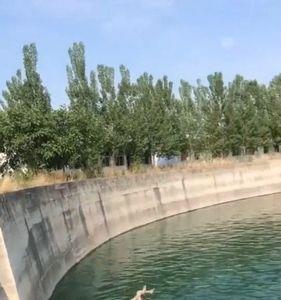 在水库游泳要什么技术
